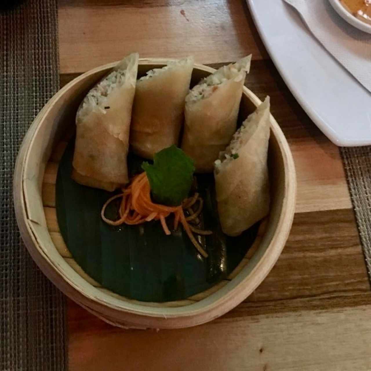 Spring Rolls Pollo
