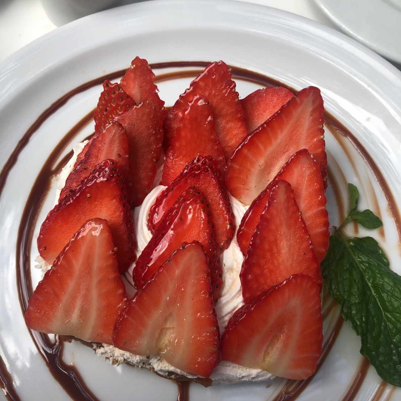 pavlova