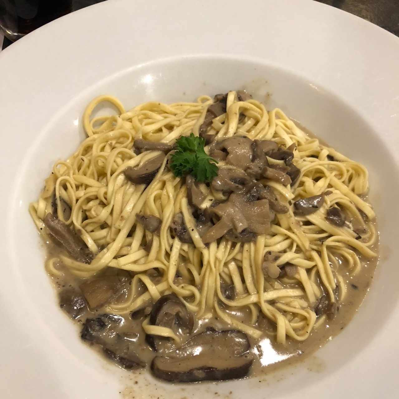 Fetuccine al huevo con salsa stroganoff