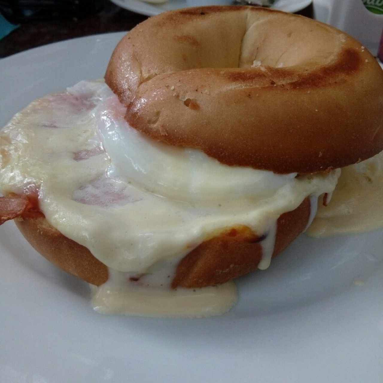 bagel