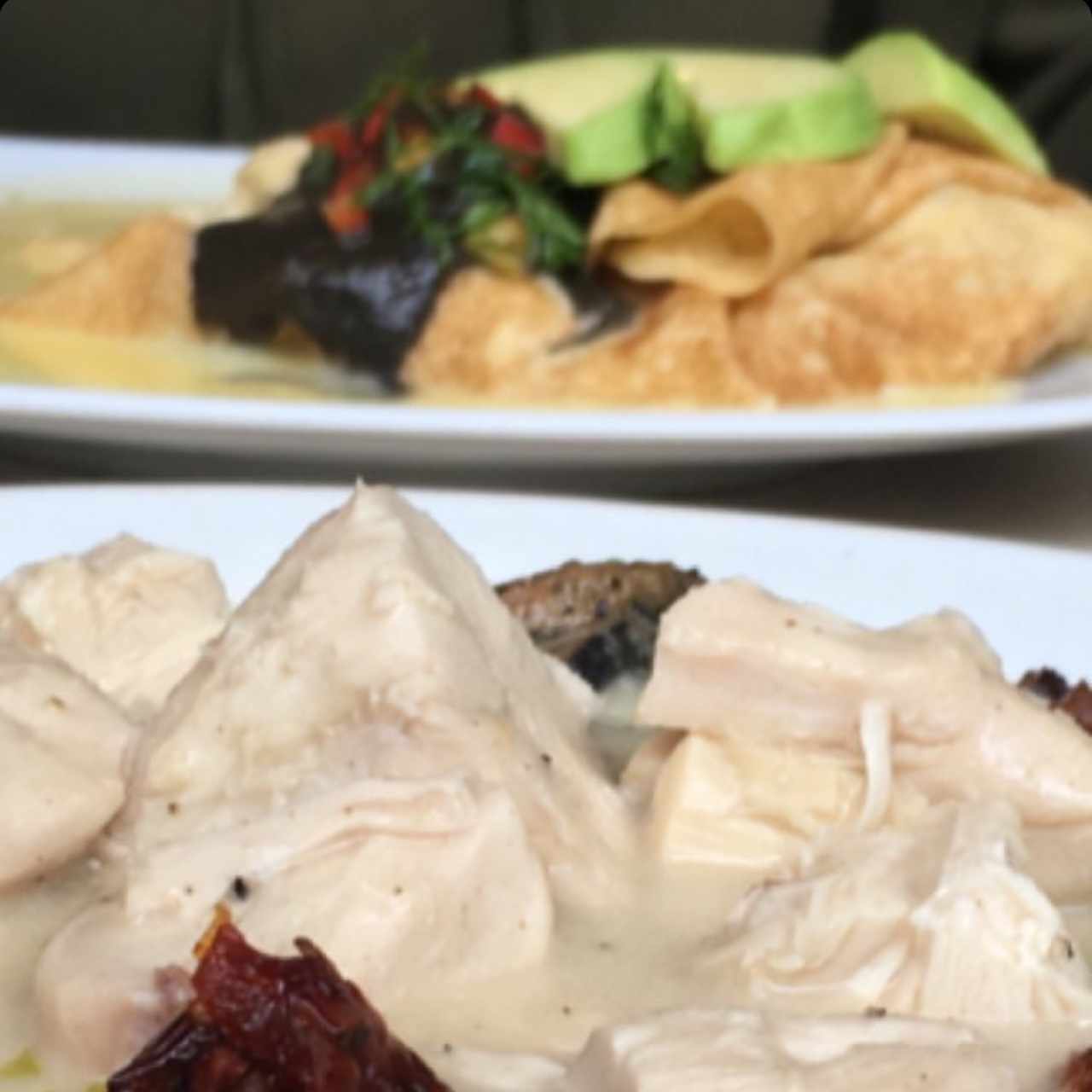 Crepes de pollo trufa mexicano y pita champiñon pocket con adicion de pollo 