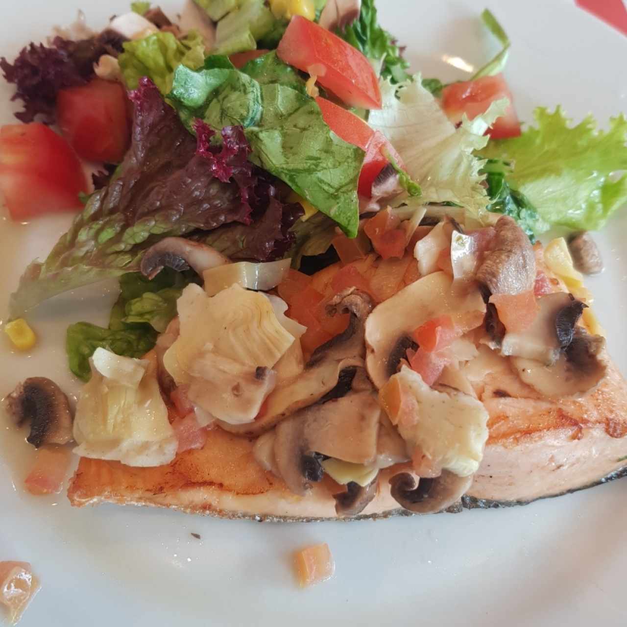 salmón 