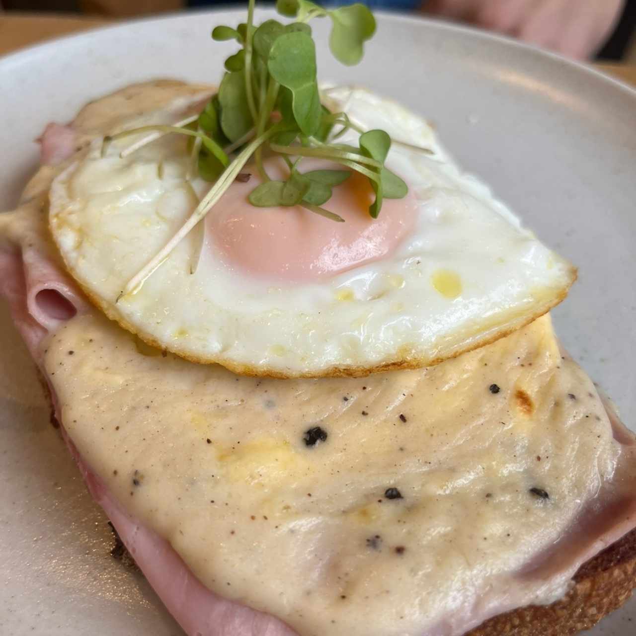 Croque madame 