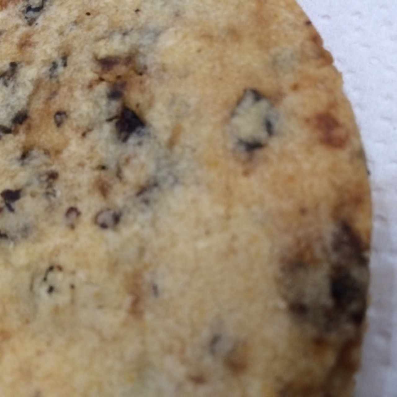 Galleta 