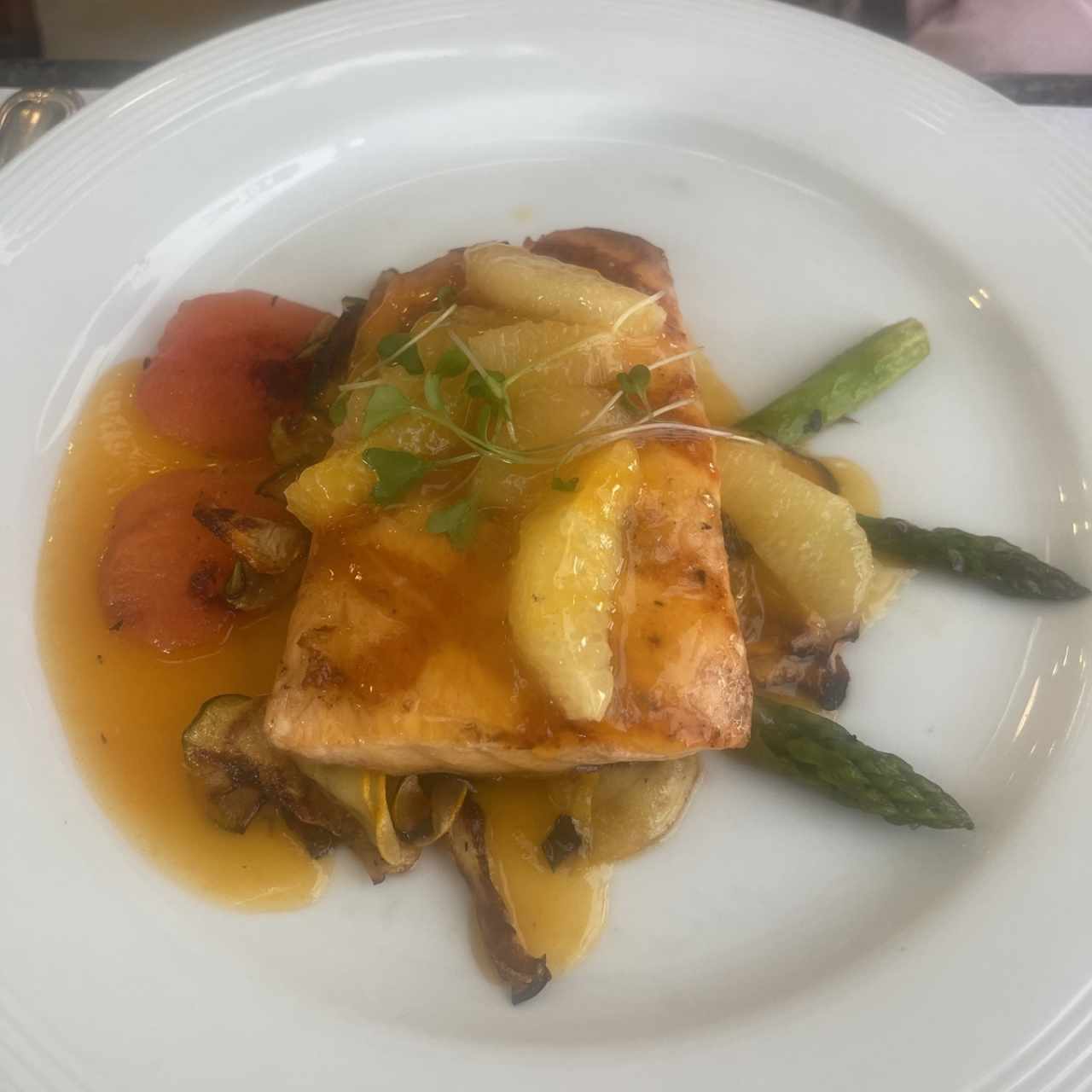 Salmon