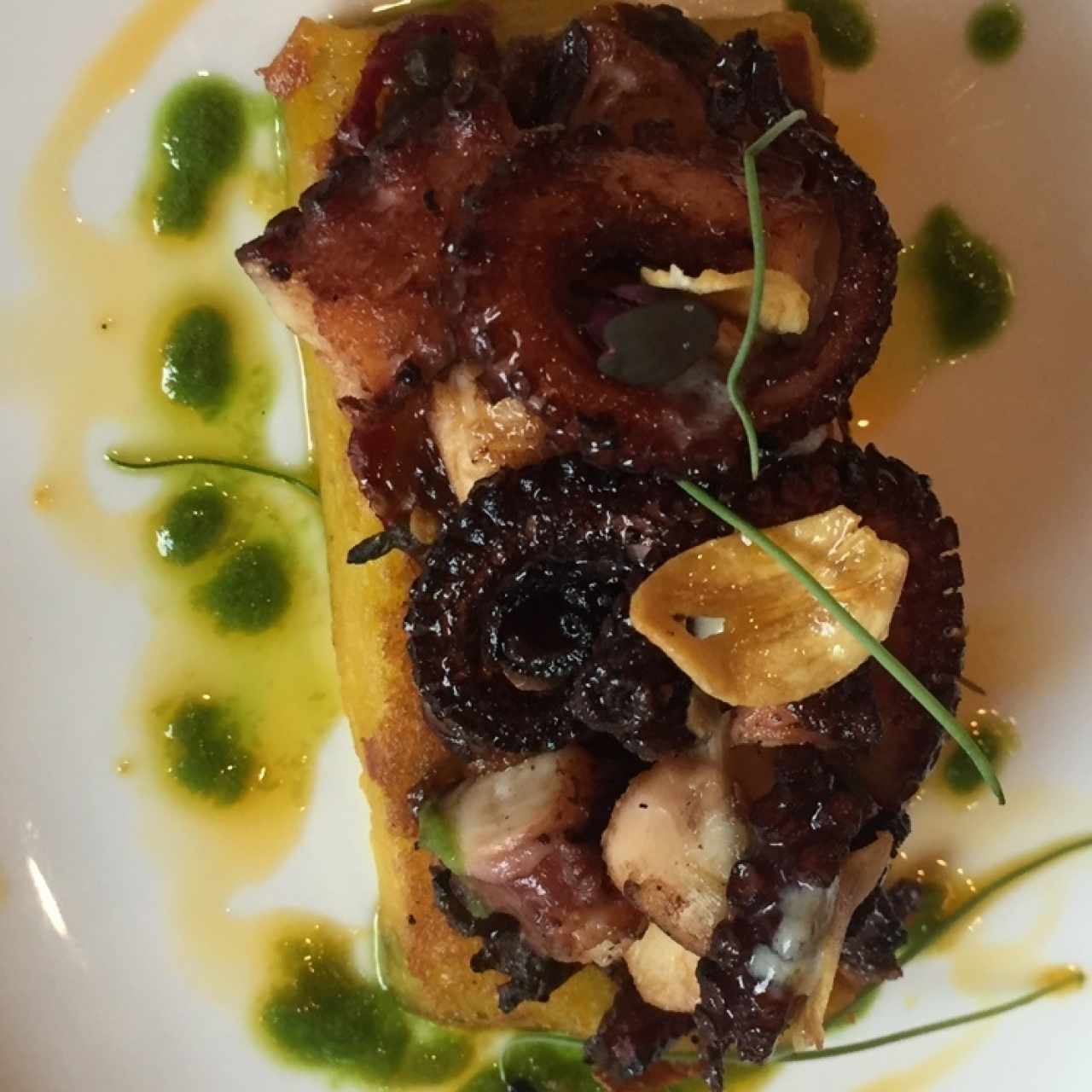 Pulpo