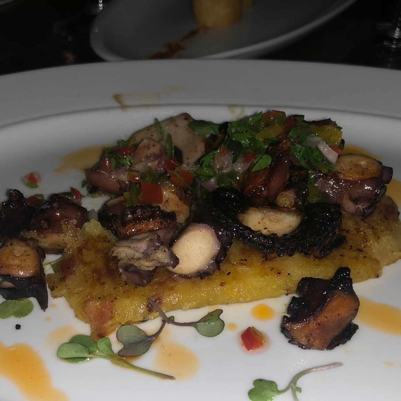 Pulpo