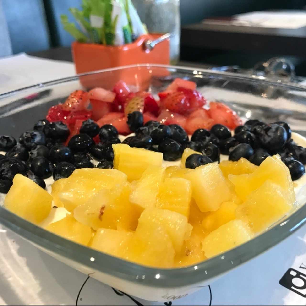 yogurt griego con frutas