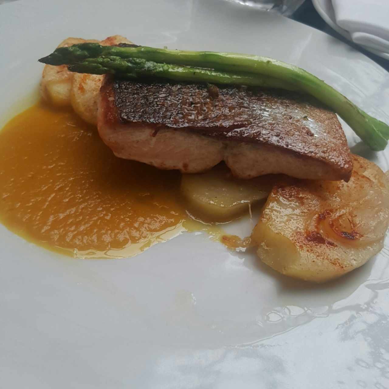 Salmón 