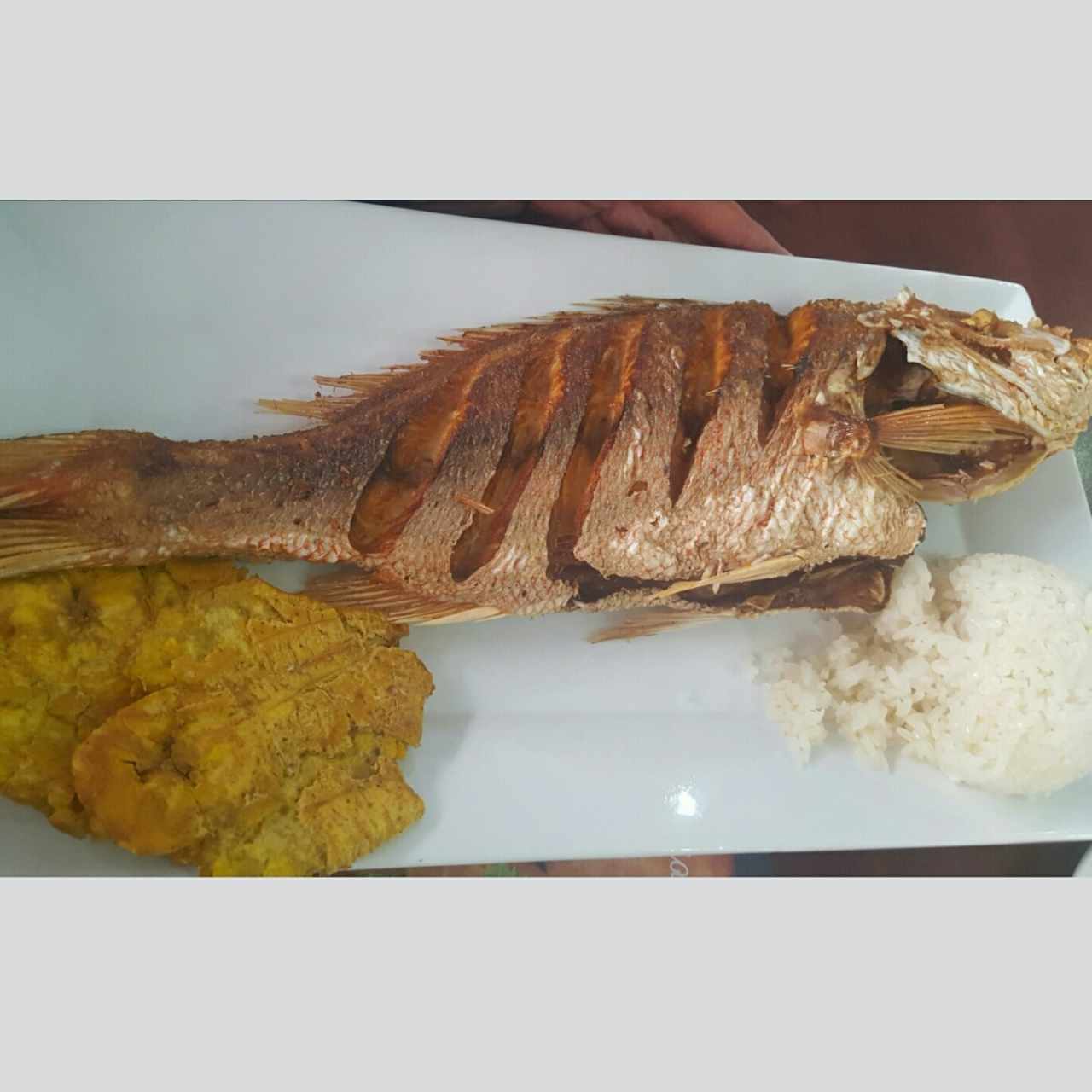 Pargo rojo grande 