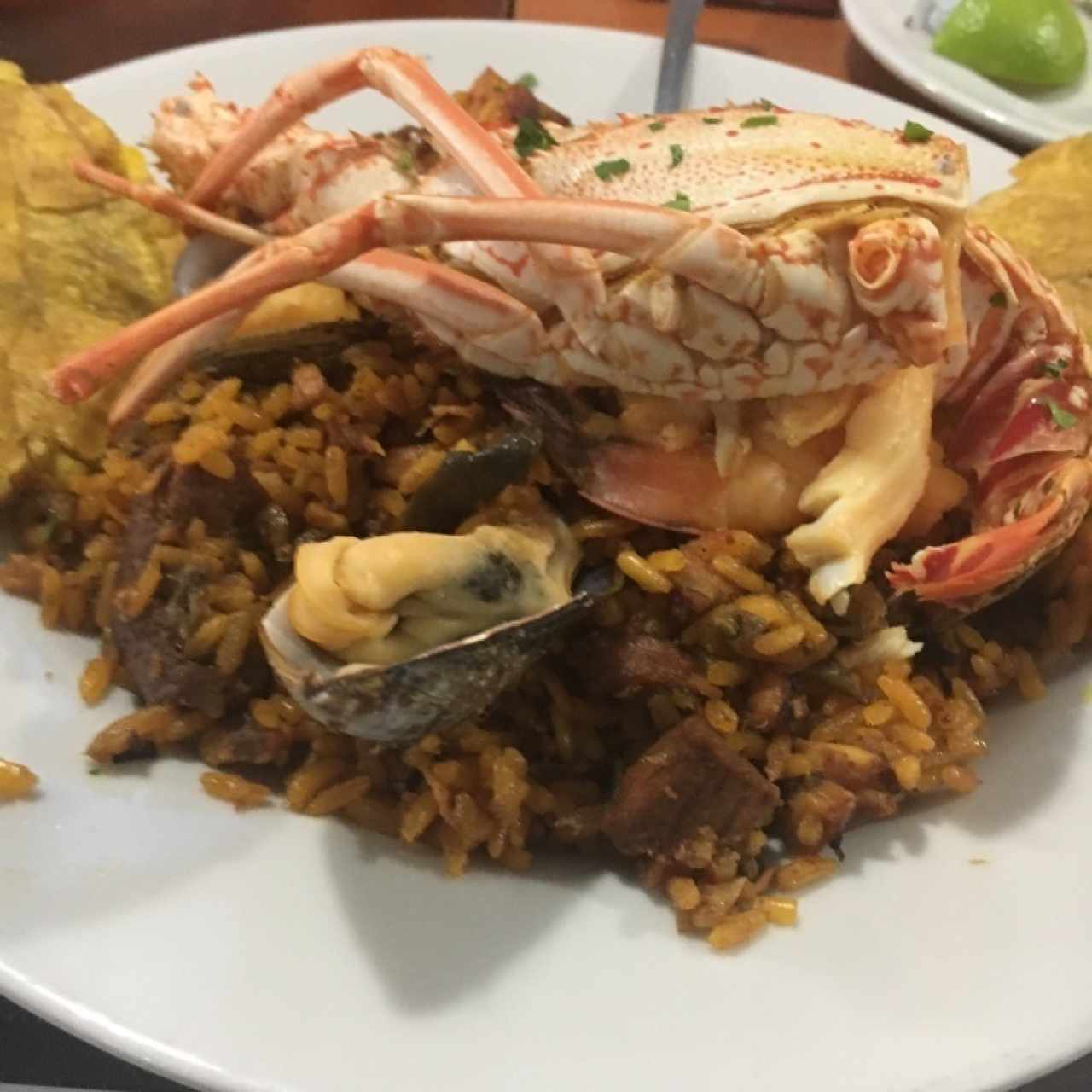 Paella gourmet