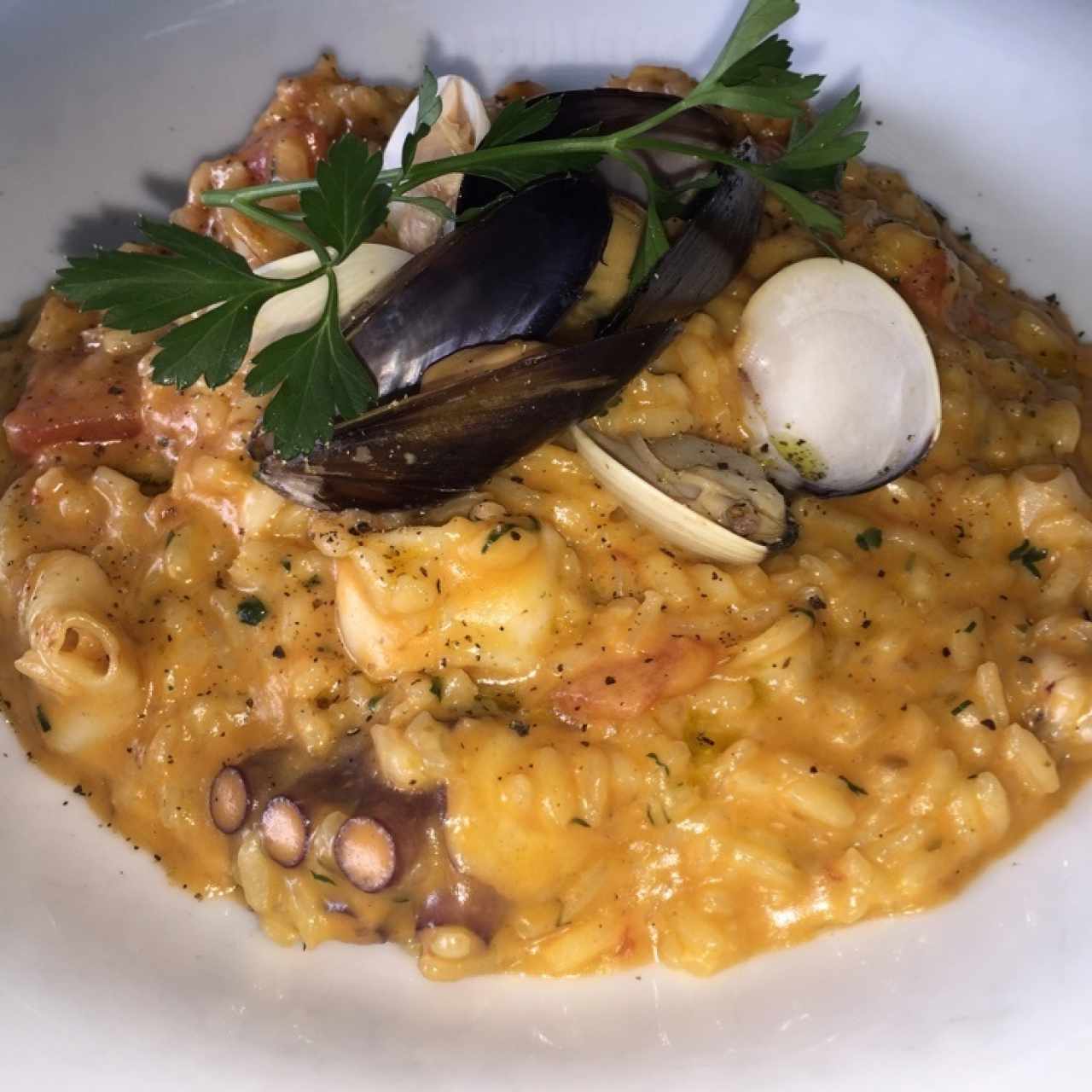 Risotto de Mar