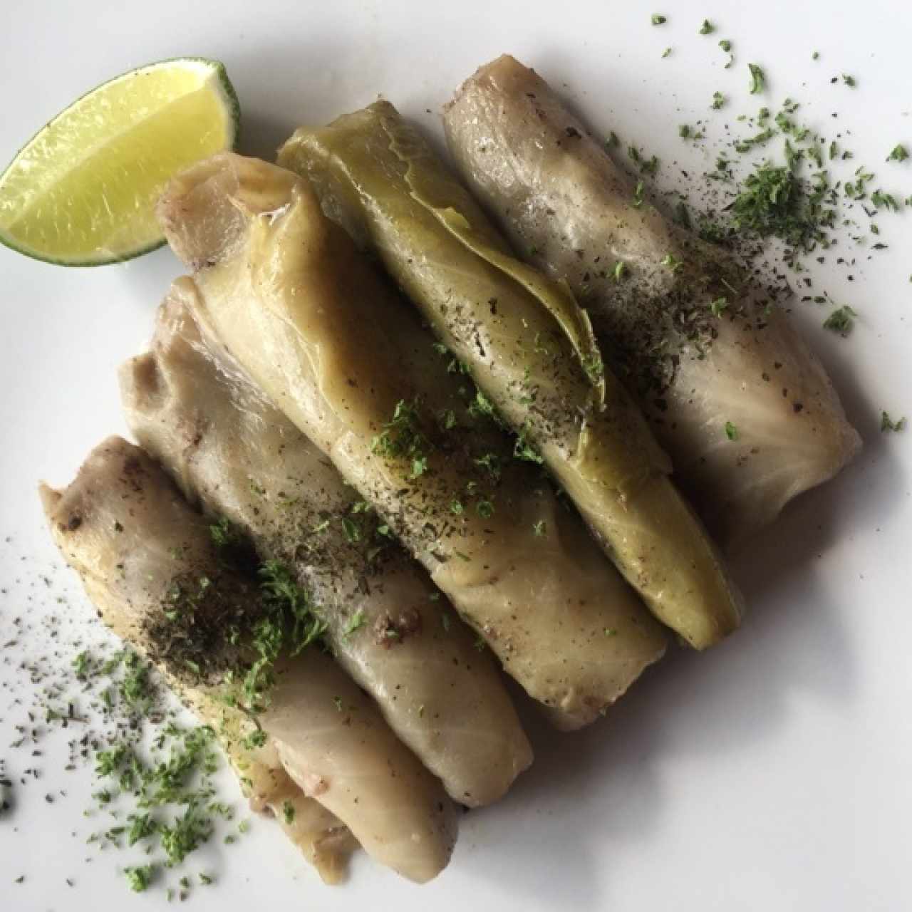 Hojas de repollo