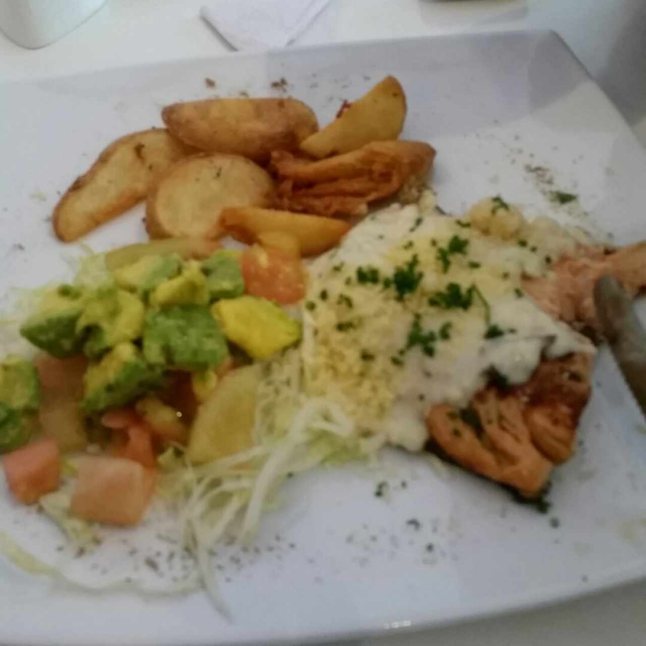 Salmon 