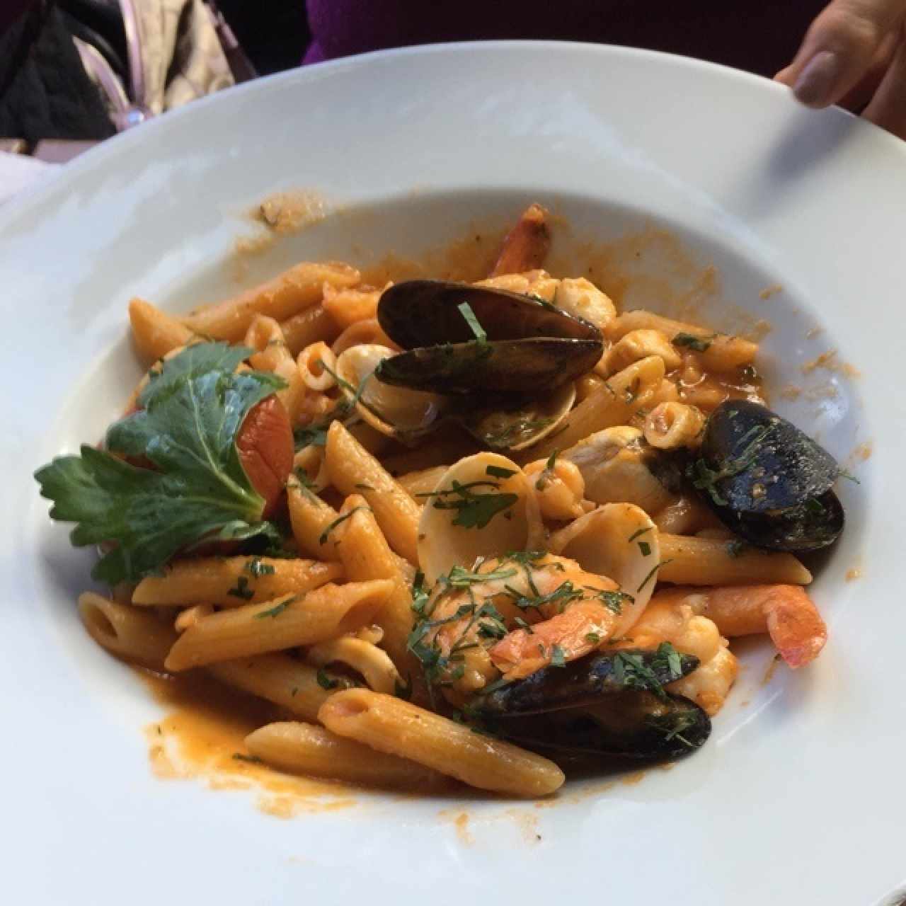 penne & Frutti di mare