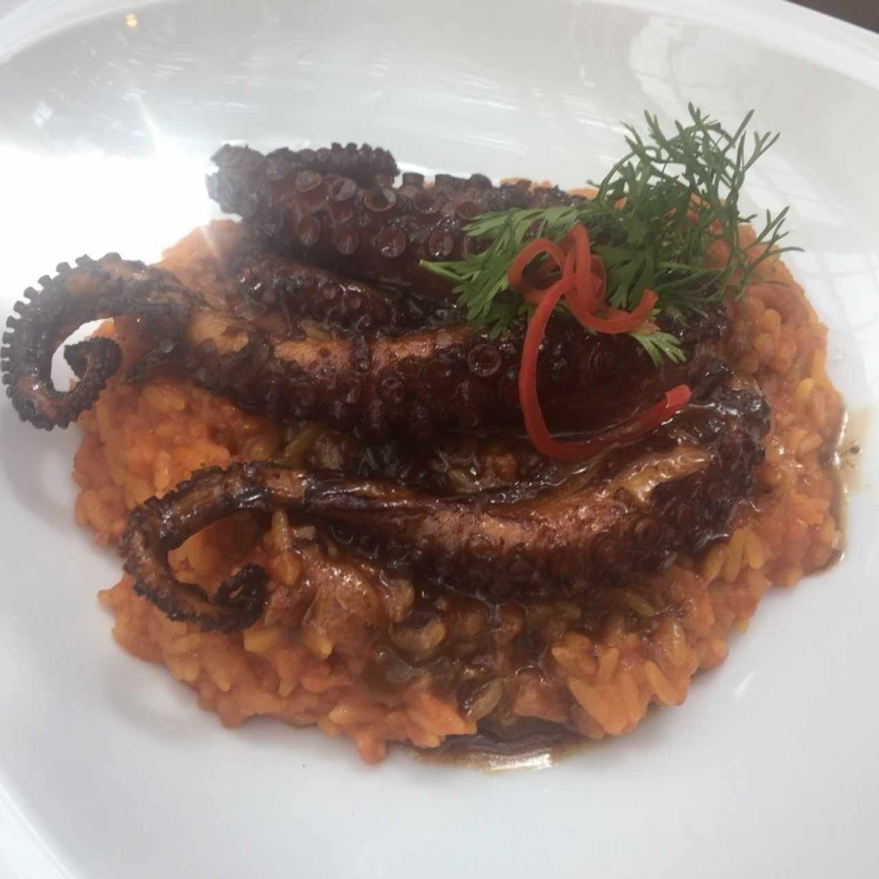 Pulpo fomentera