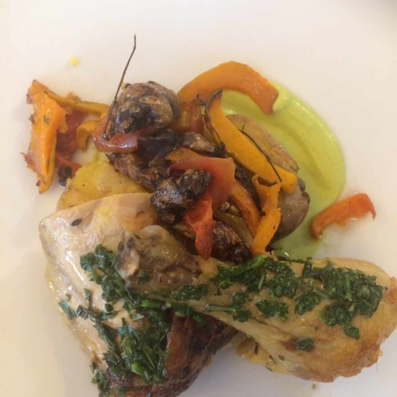 Pollo