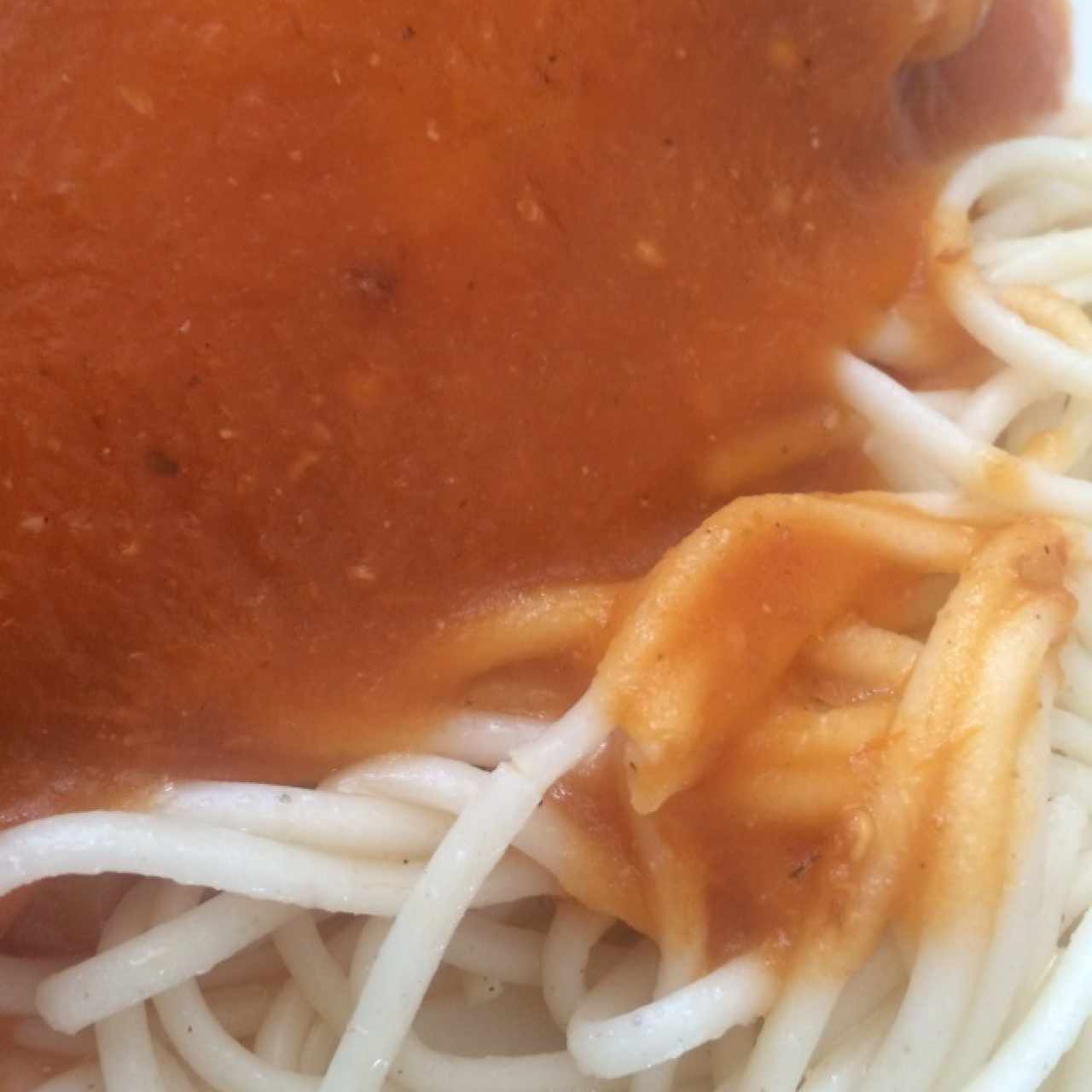 Pollo 