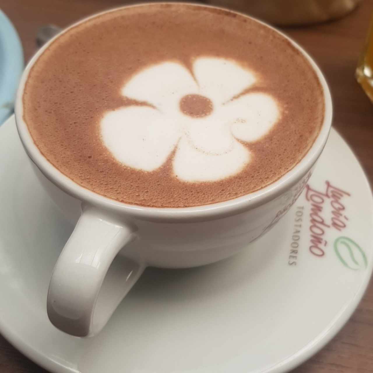 chocolate 