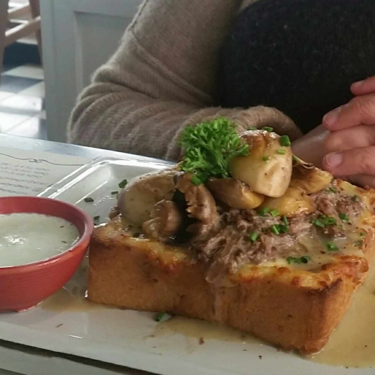 Pato stroganoff