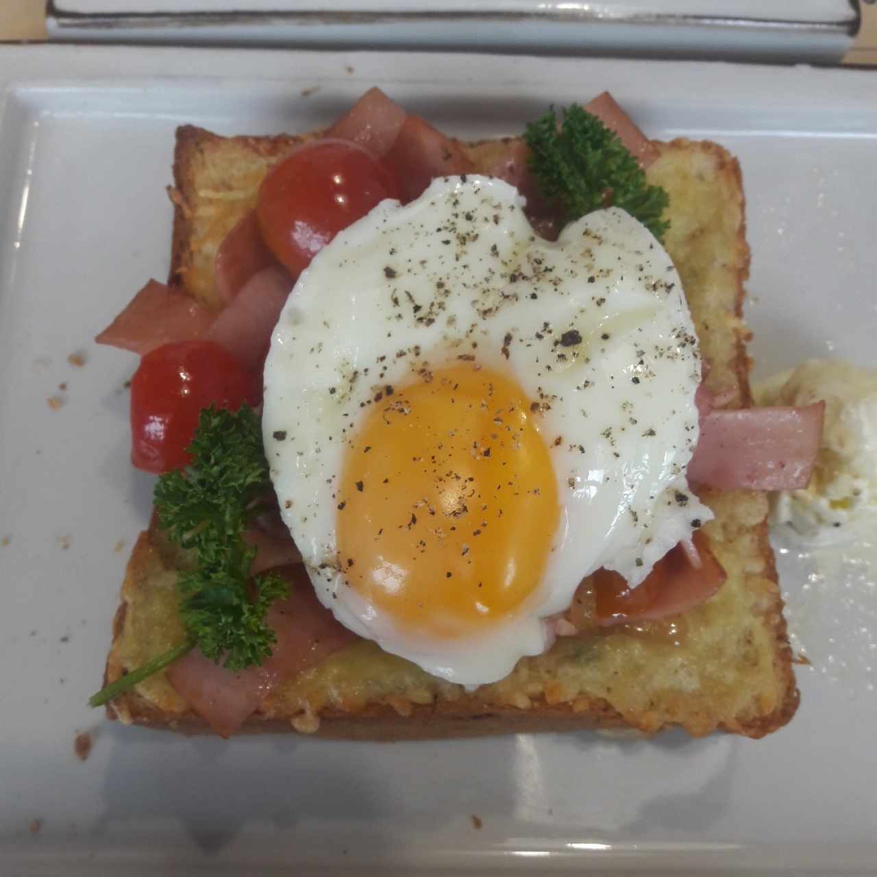 Pato casero en pan especial