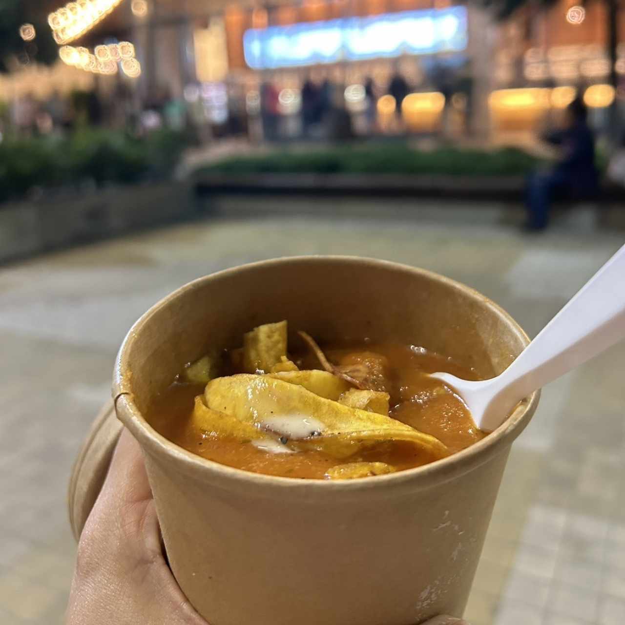 Sopa