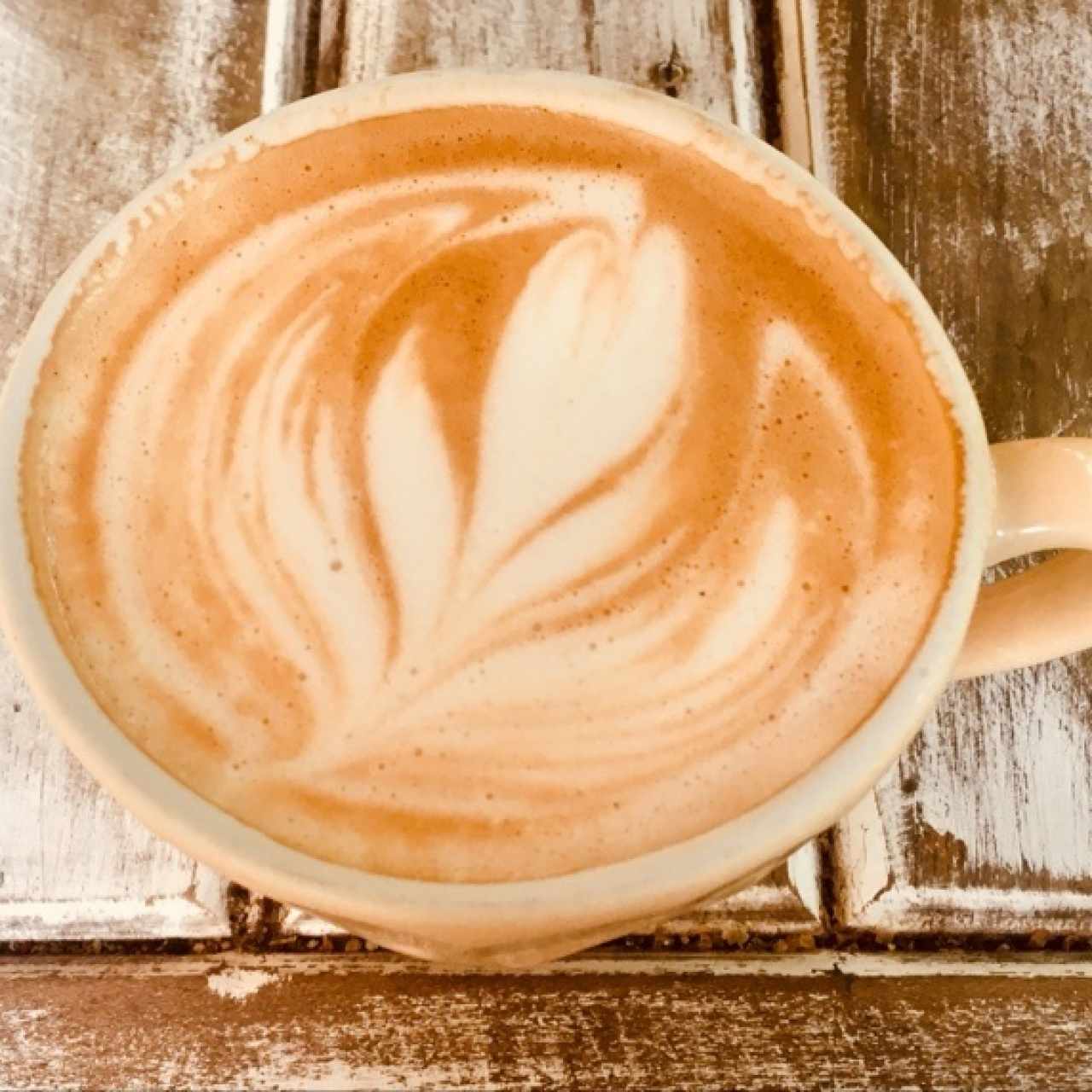 Capuccino