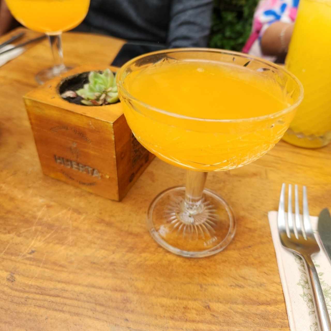 Mimosa 