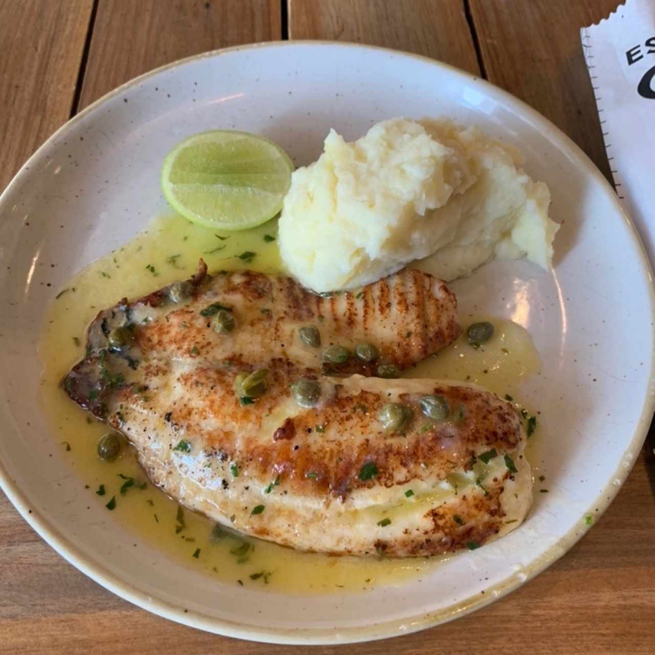 tilapia.