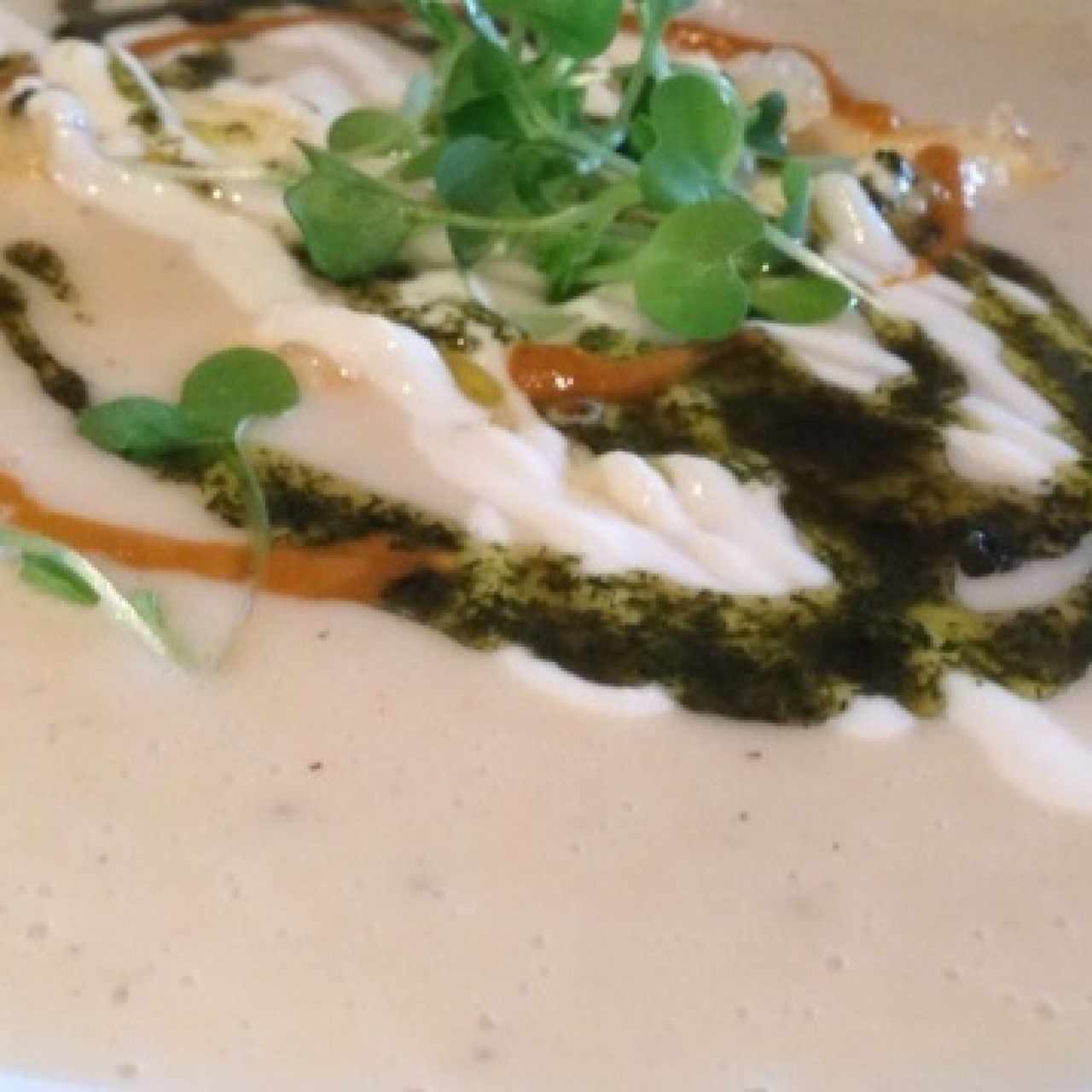 Mote de queso