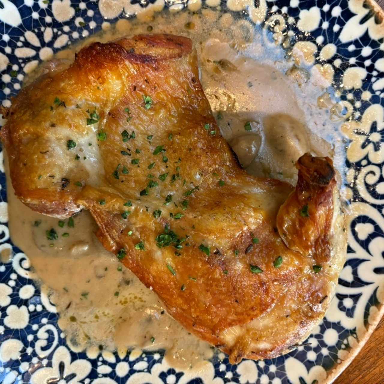 Pollo 