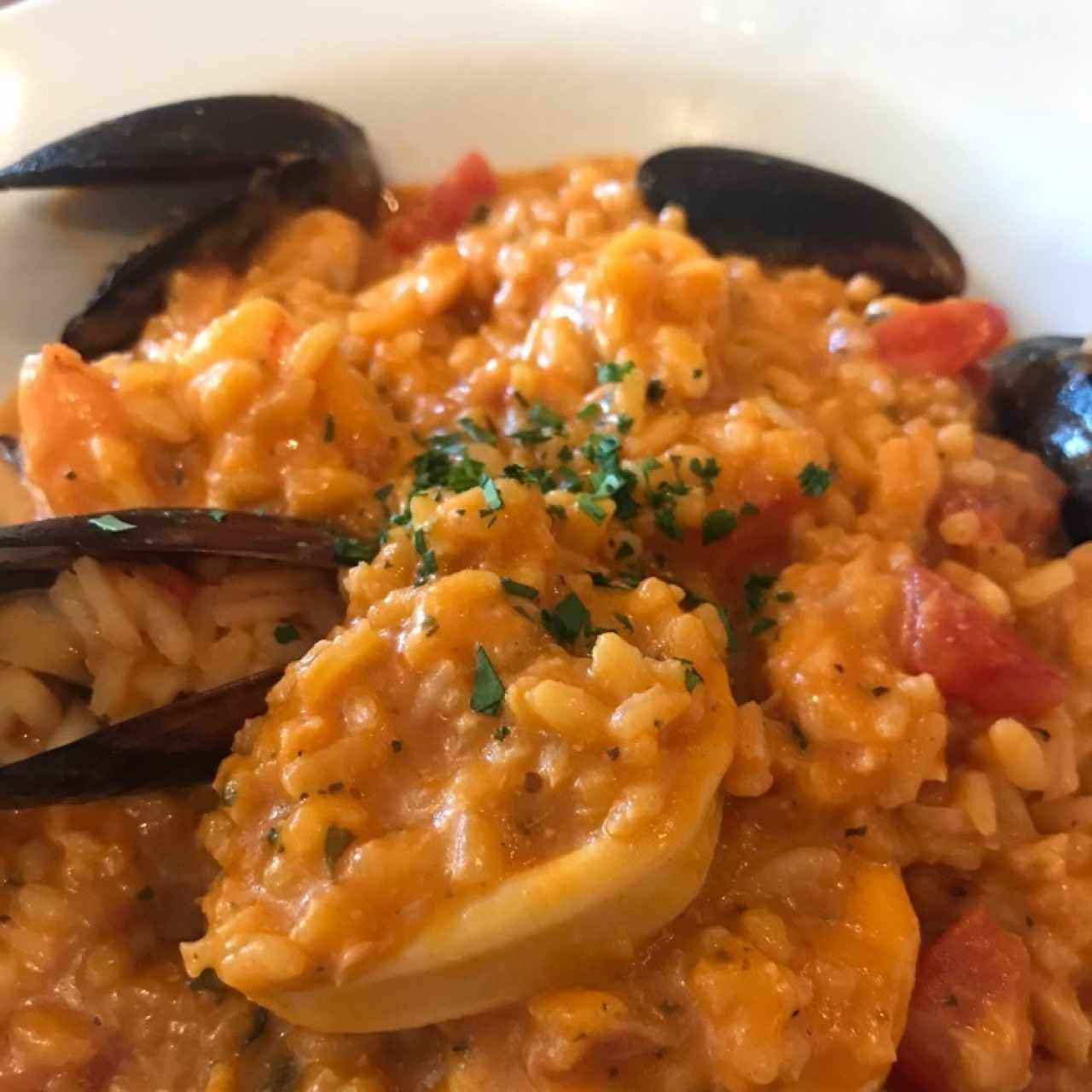 risotto 