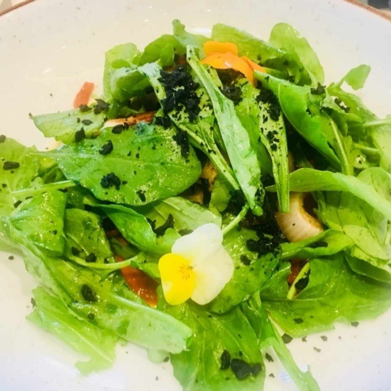 Ensalada con pulpo
