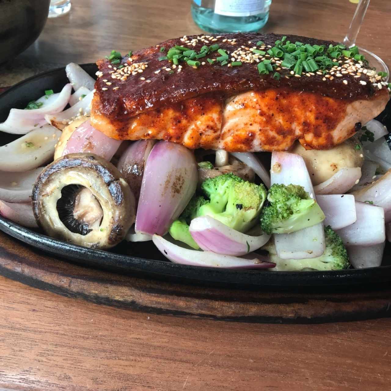 salmon 