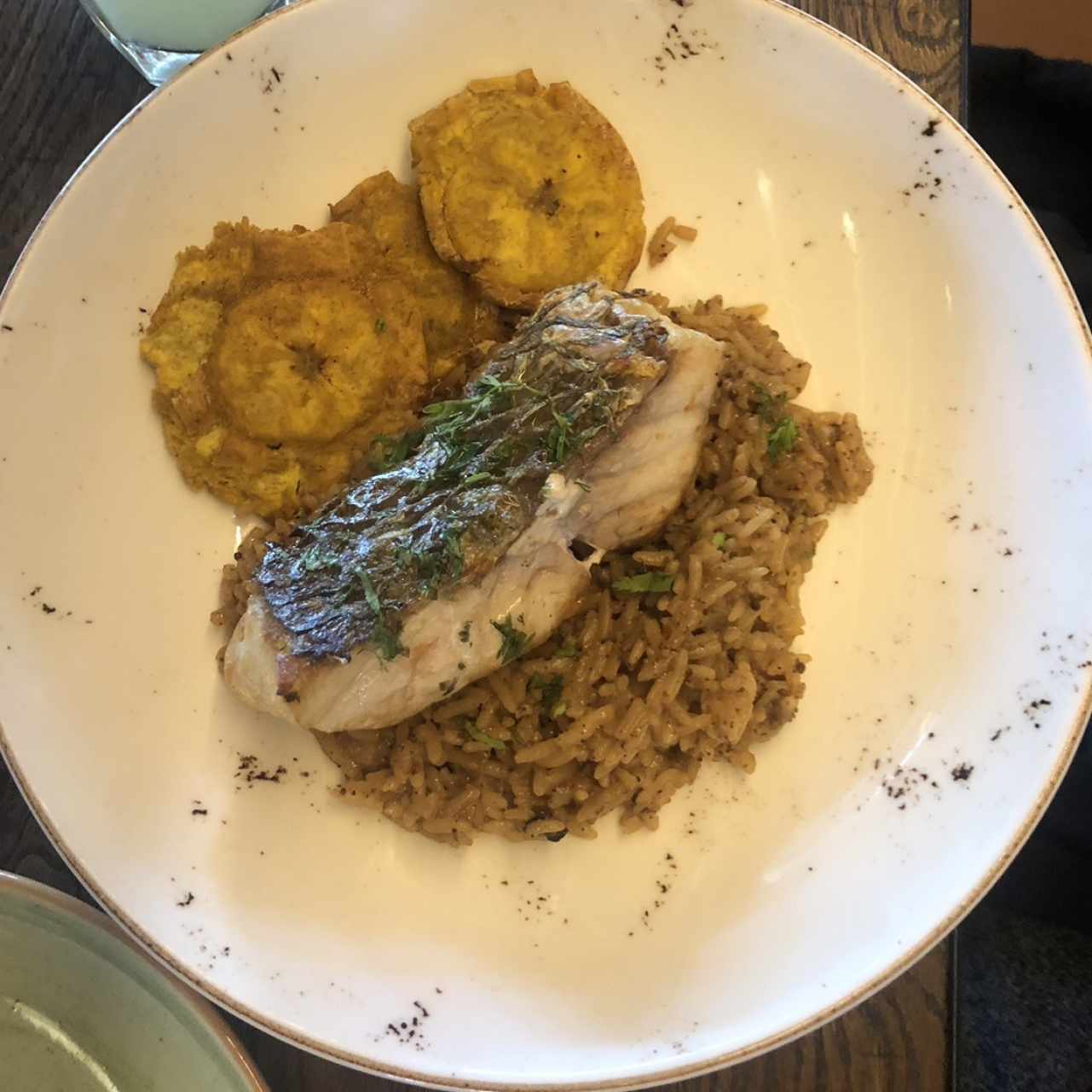 Fimete corvina 