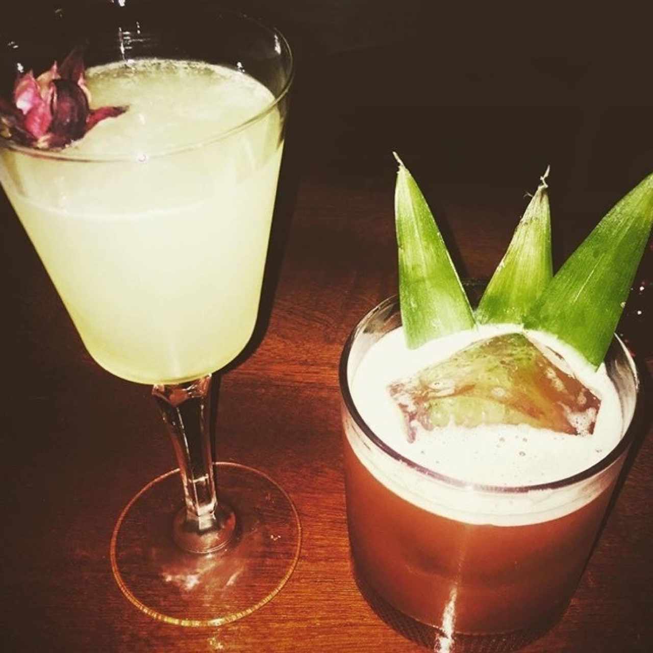 cocteles del dia