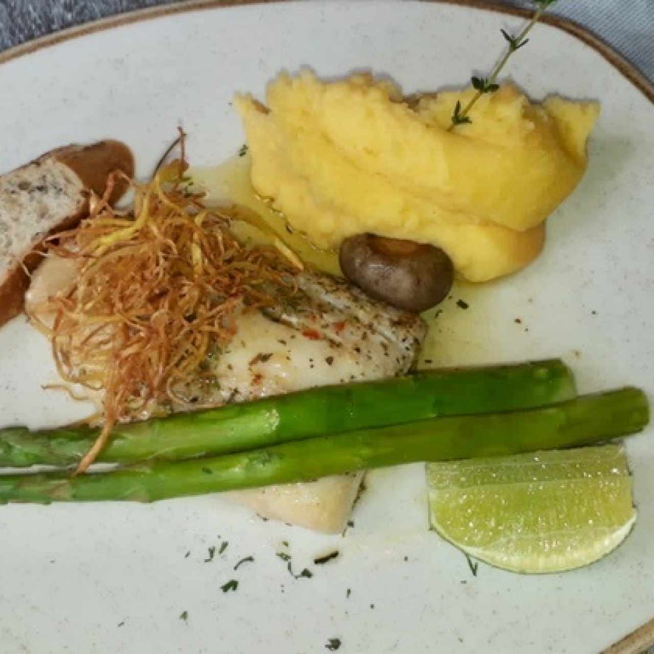 Pesca del día