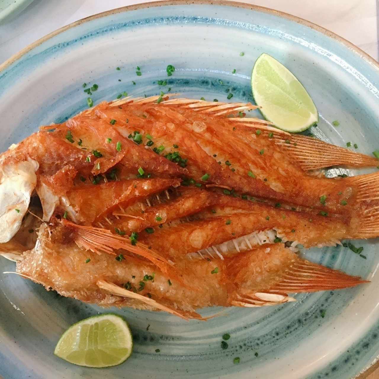 Mojarra