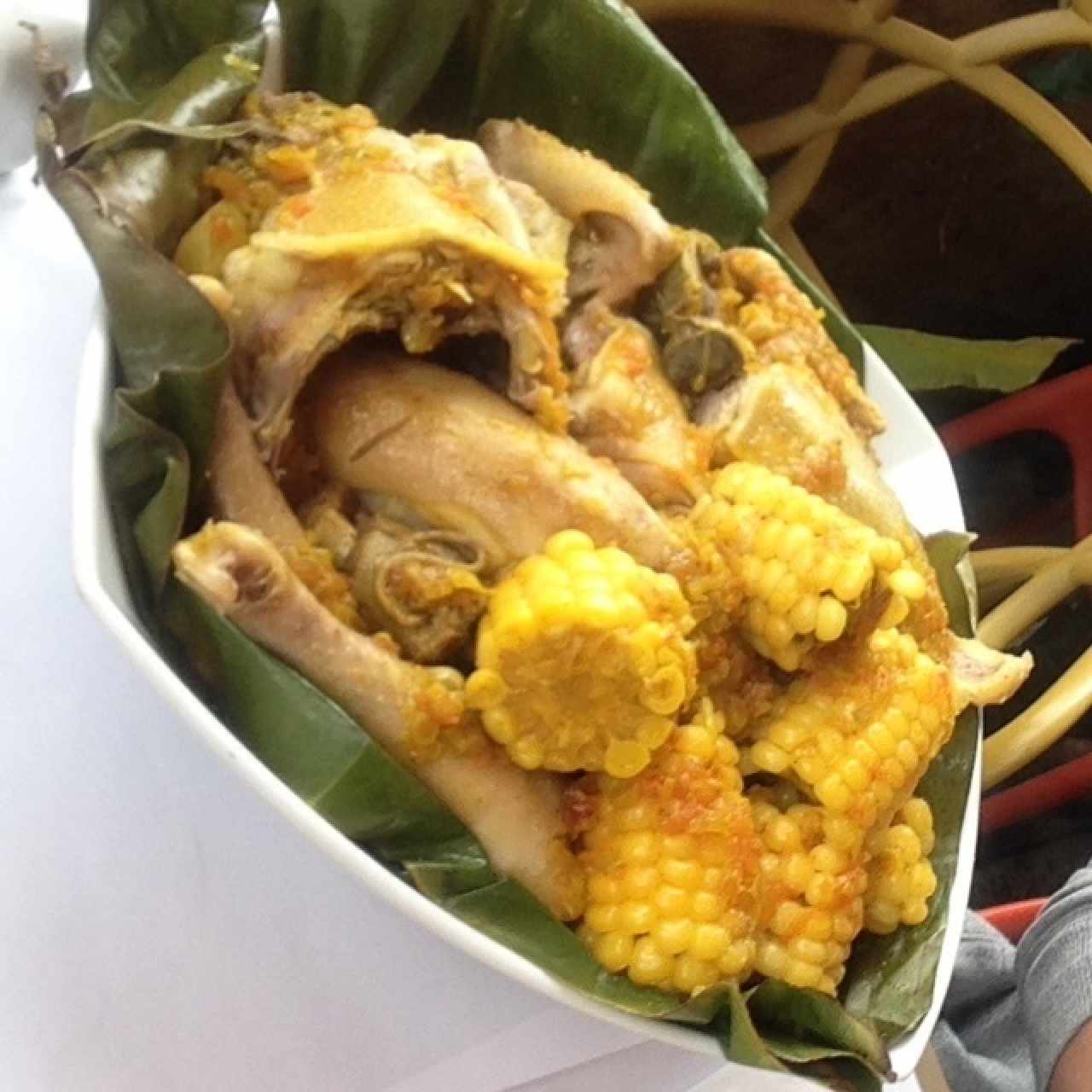 Gallina criolla 