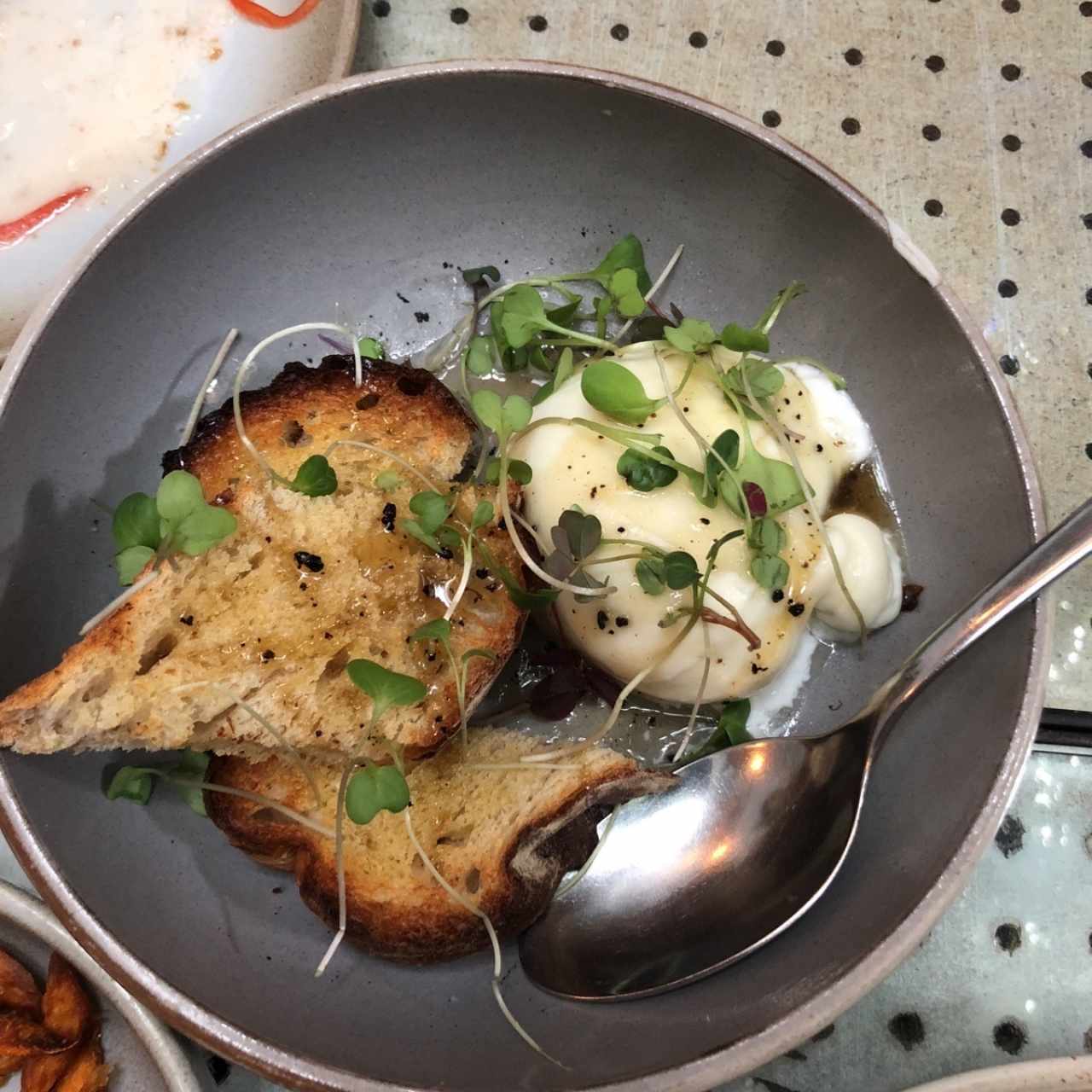 burrata