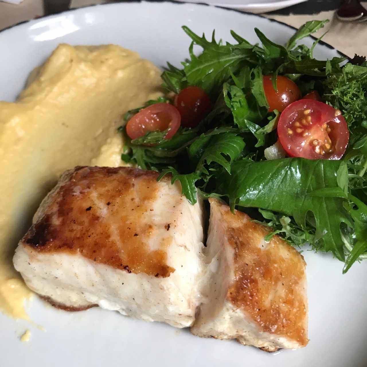 corvina 