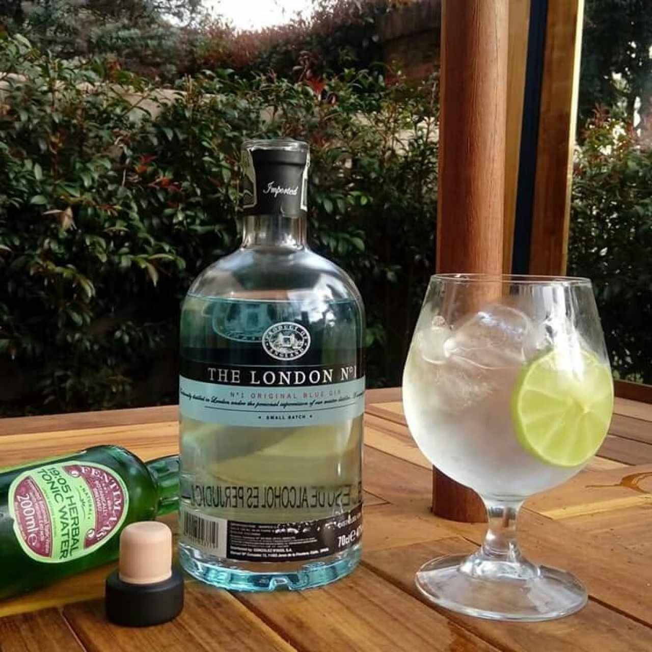 gin and tonic