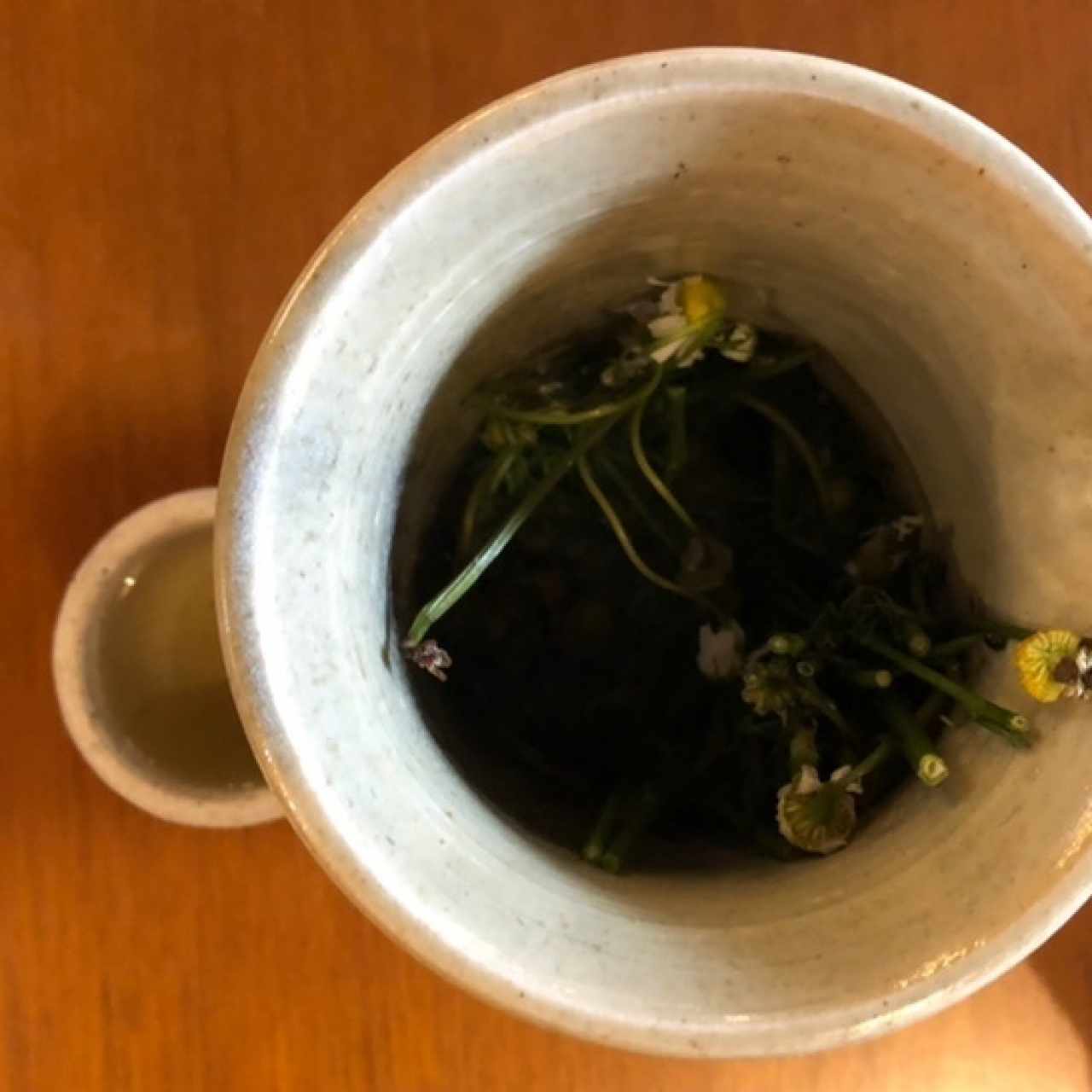 Aromática 