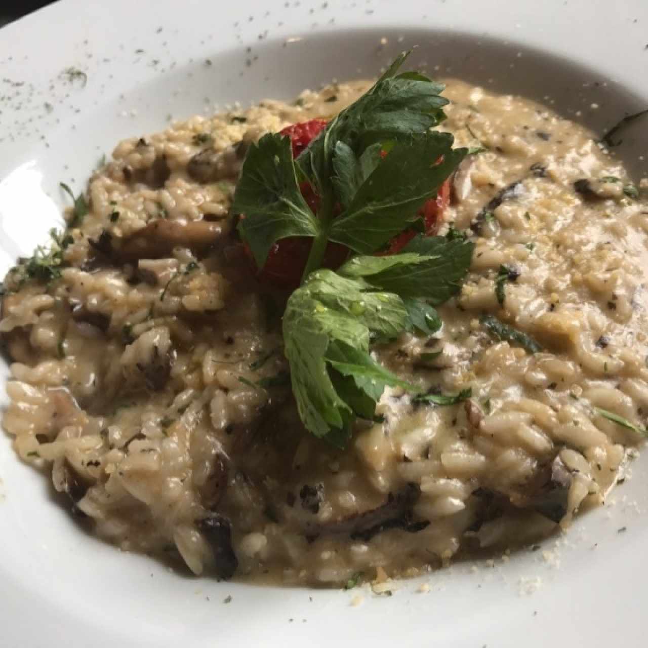 rissotto portobello