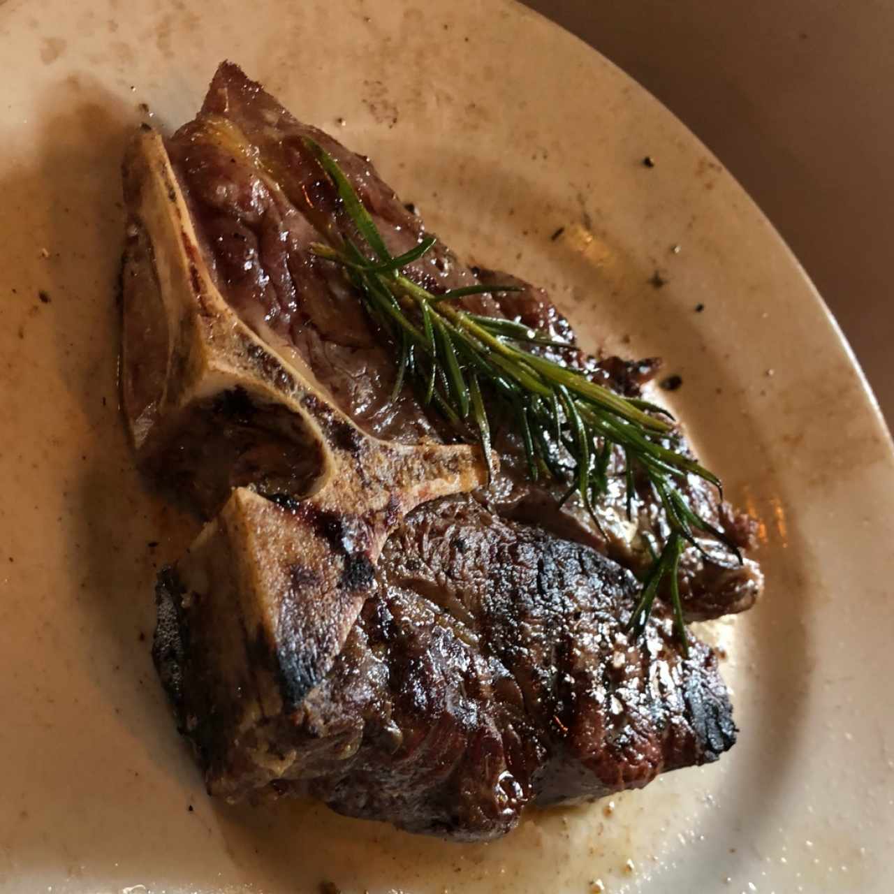 t bone