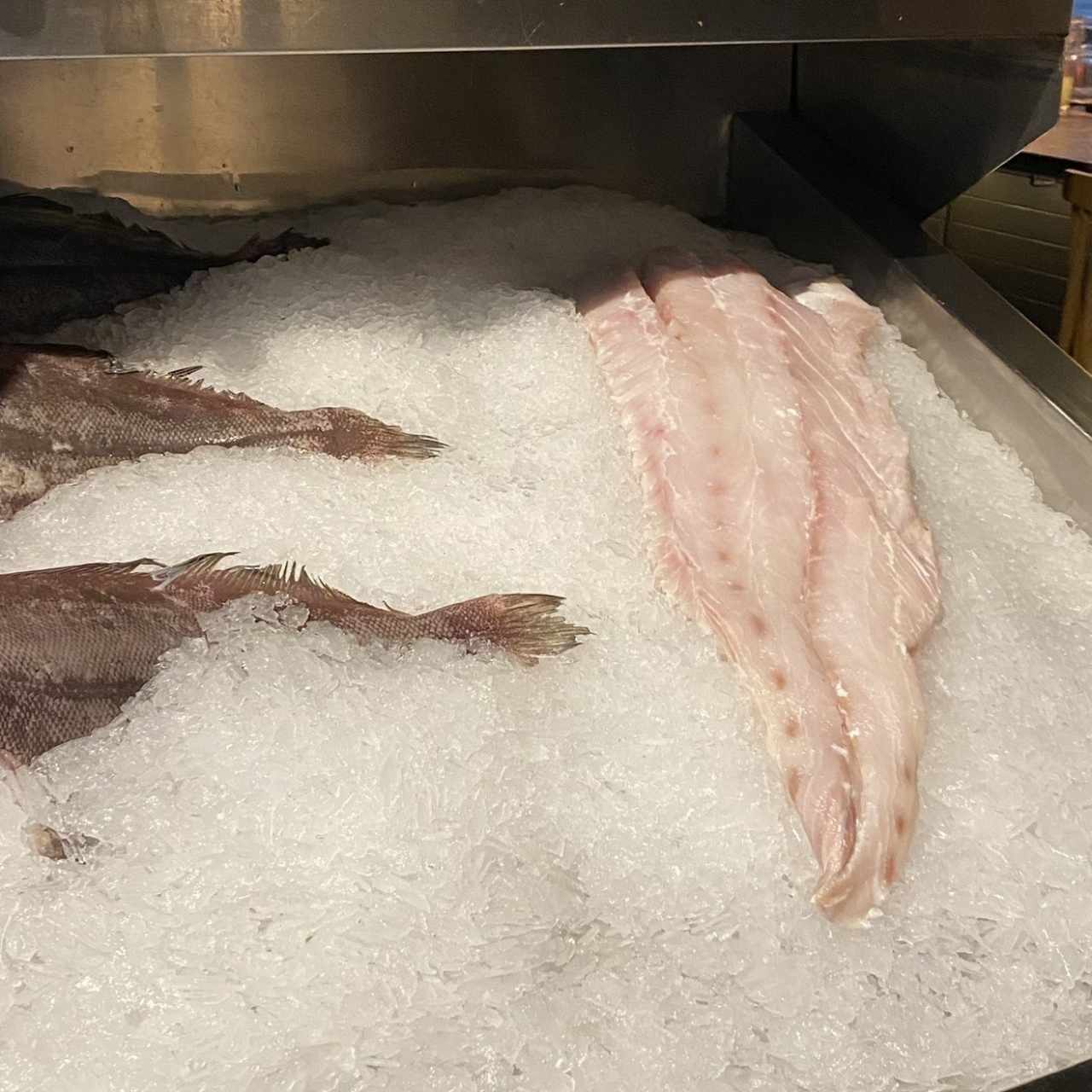 Corvina