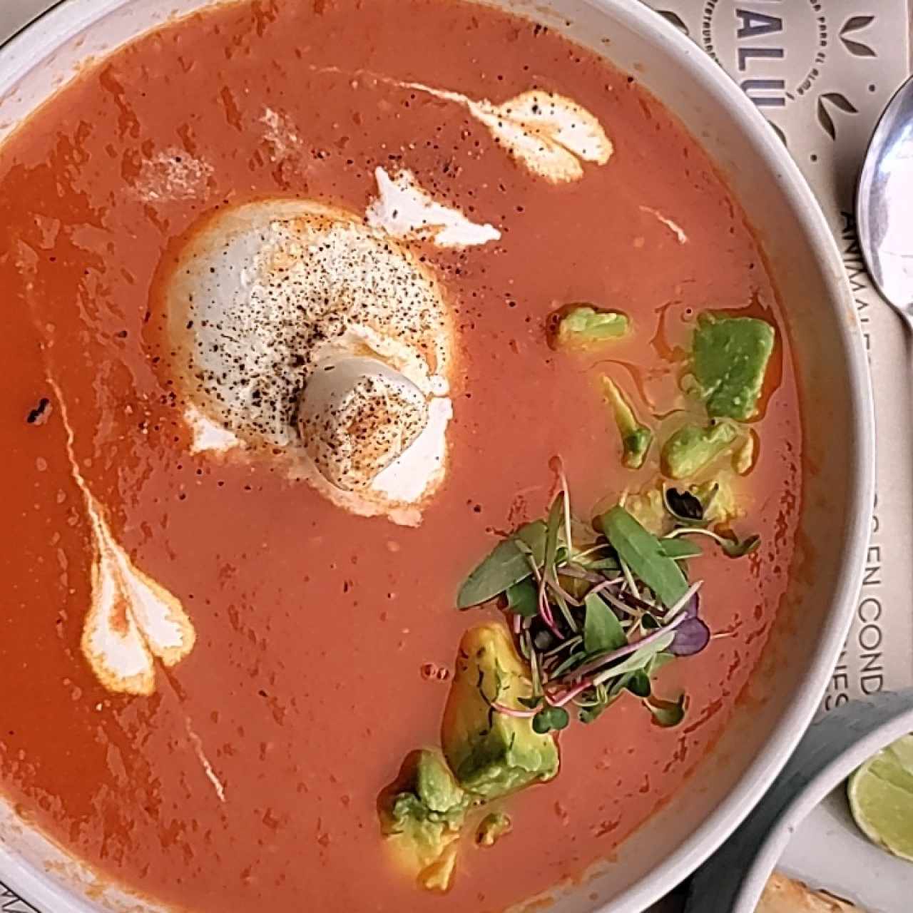 sopa de tomate a la burratta