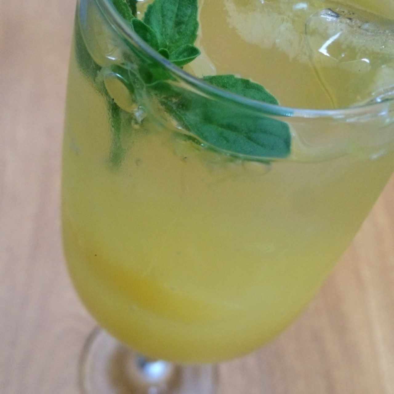 Mimosa