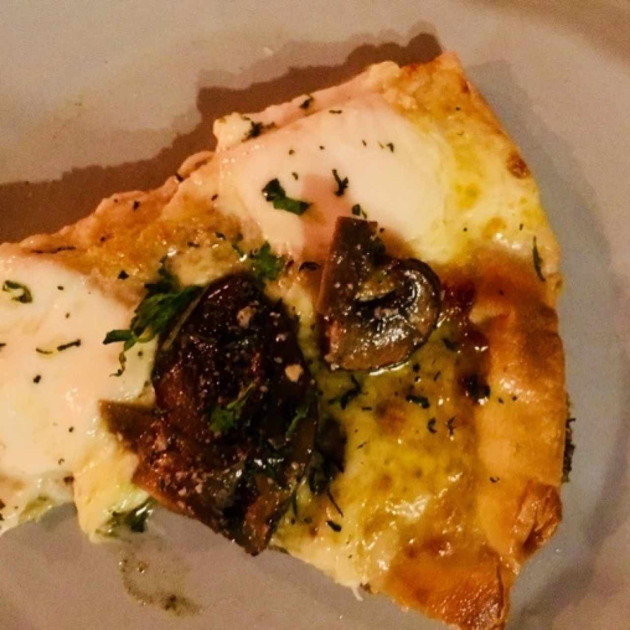 Pizza Funghi