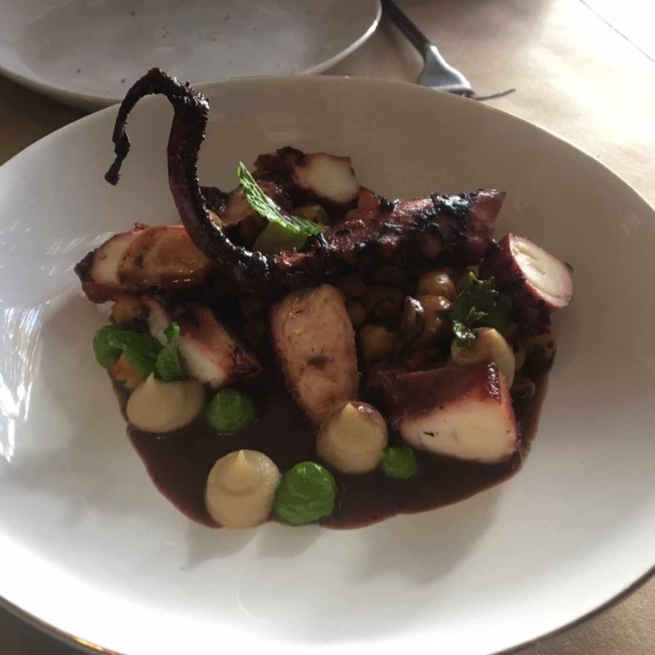Pulpo